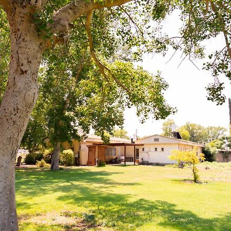 Degania Bet Aliyah Return Center Bed & Breakfast エクステリア 写真